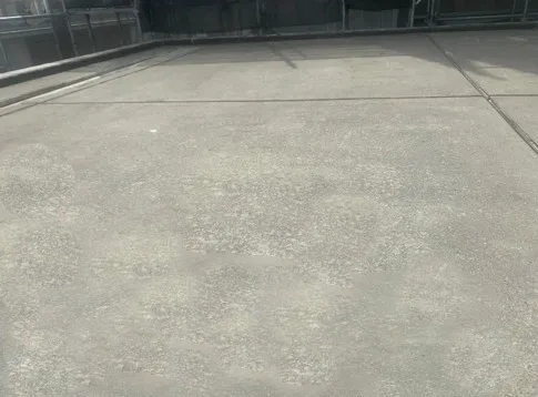 既存：アスファルト防水保護コンクリート仕上げ