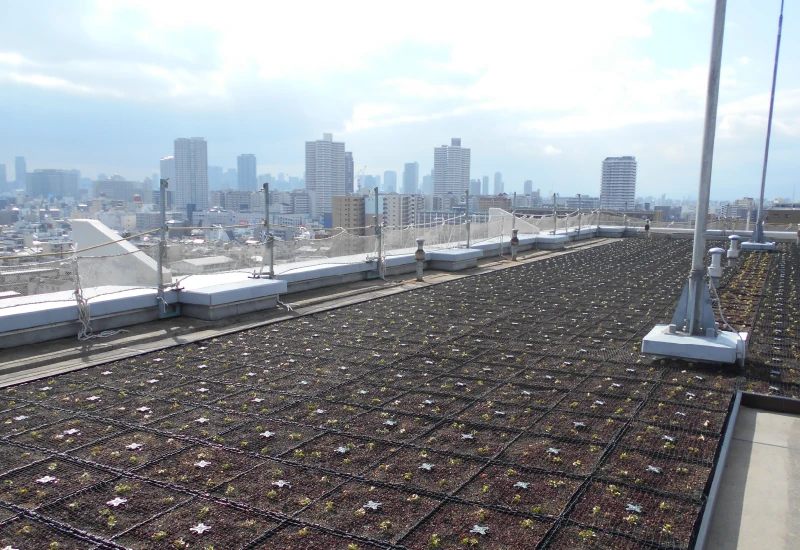 屋上緑化