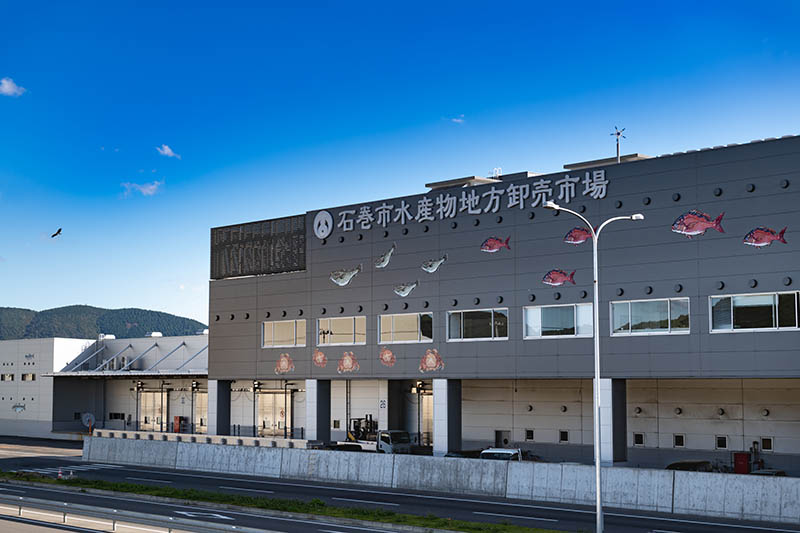 石巻市水産地方卸売市場